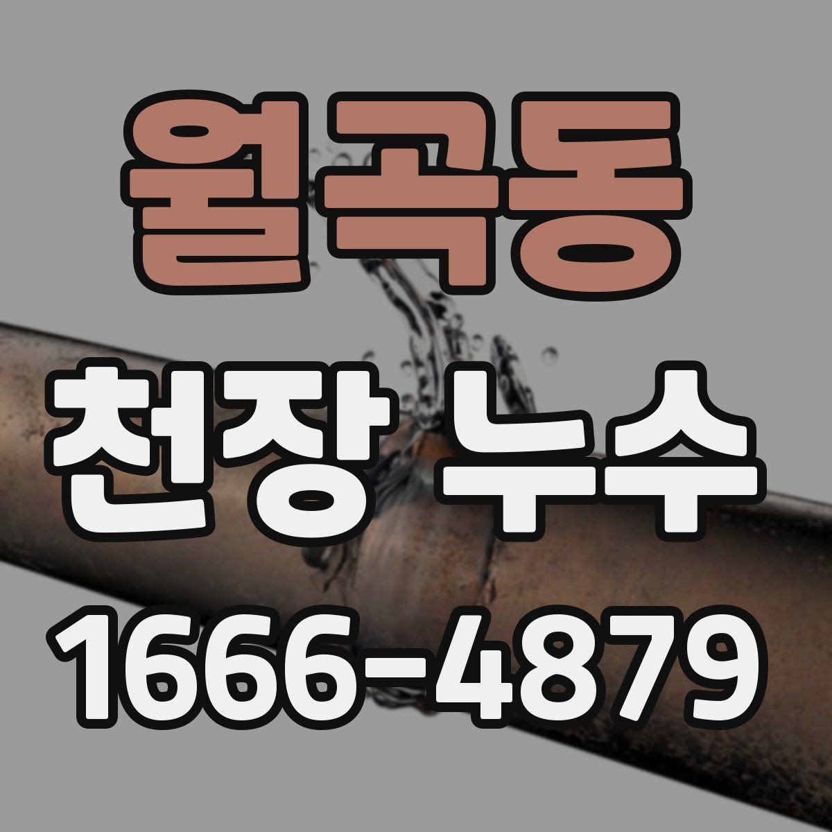 월곡동 천장 누수 배관 누수는 왜 천장에서 먼저 보일까