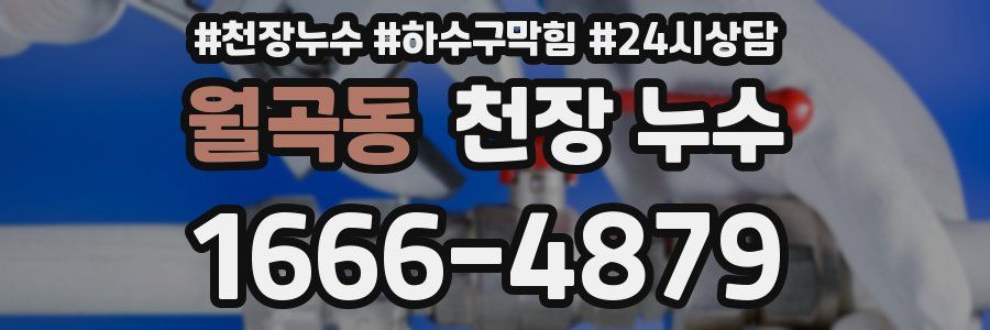 월곡동 천장 누수