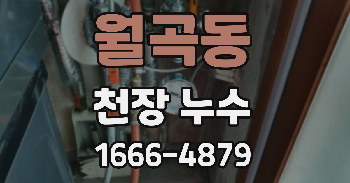 월곡동 천장 누수