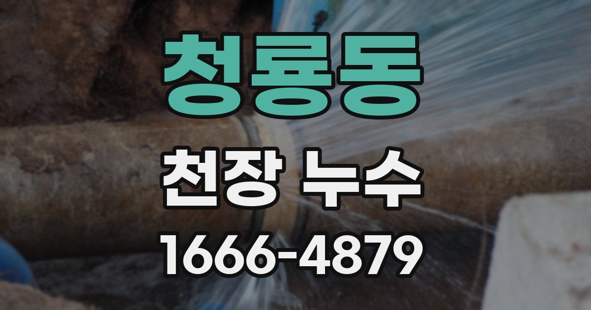 청룡동 천장 누수