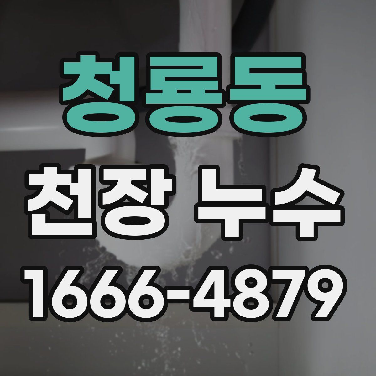 청룡동 천장 누수