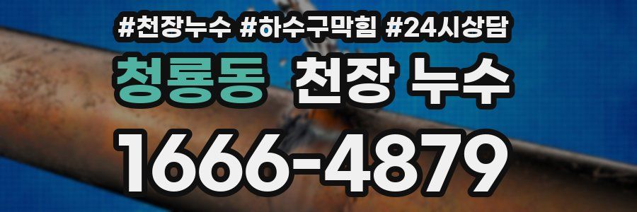 청룡동 천장 누수