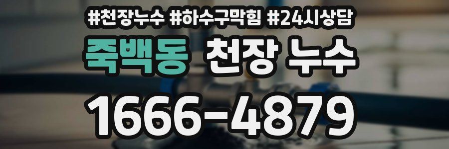 죽백동 천장 누수