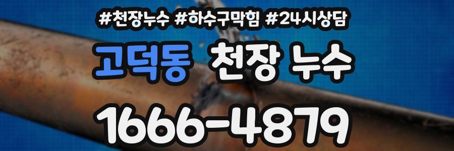 고덕동 천장 누수