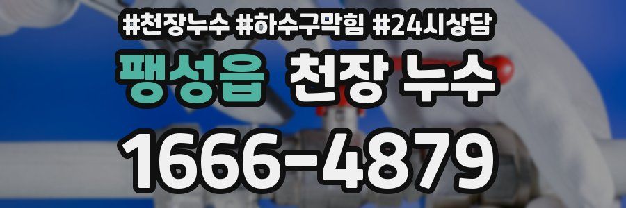 팽성읍 천장 누수