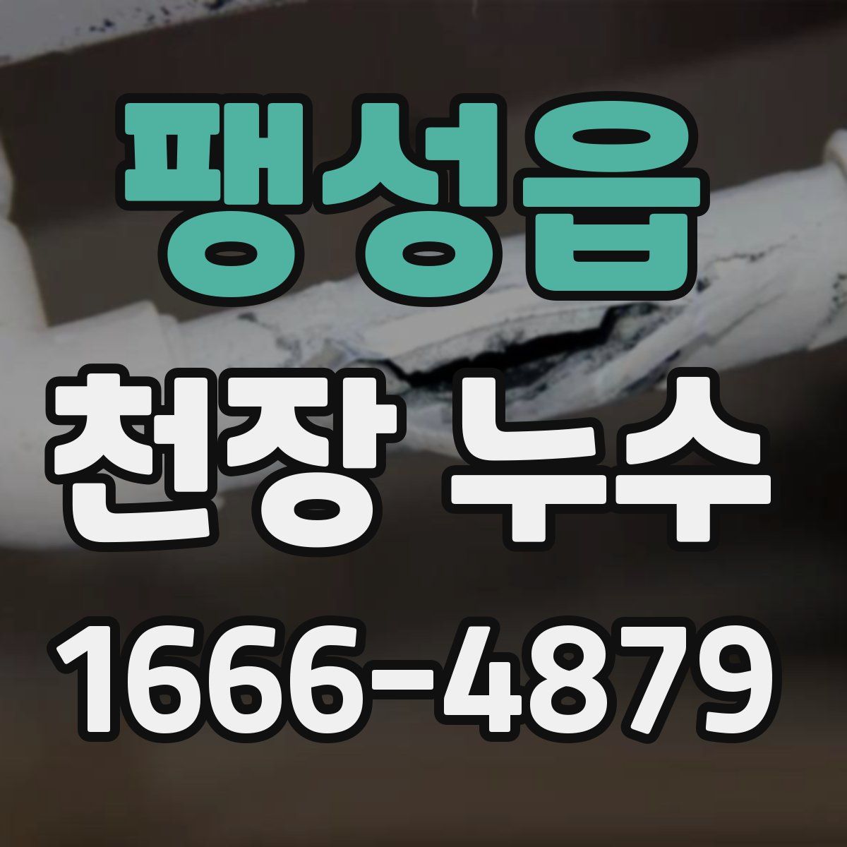 팽성읍 천장 누수