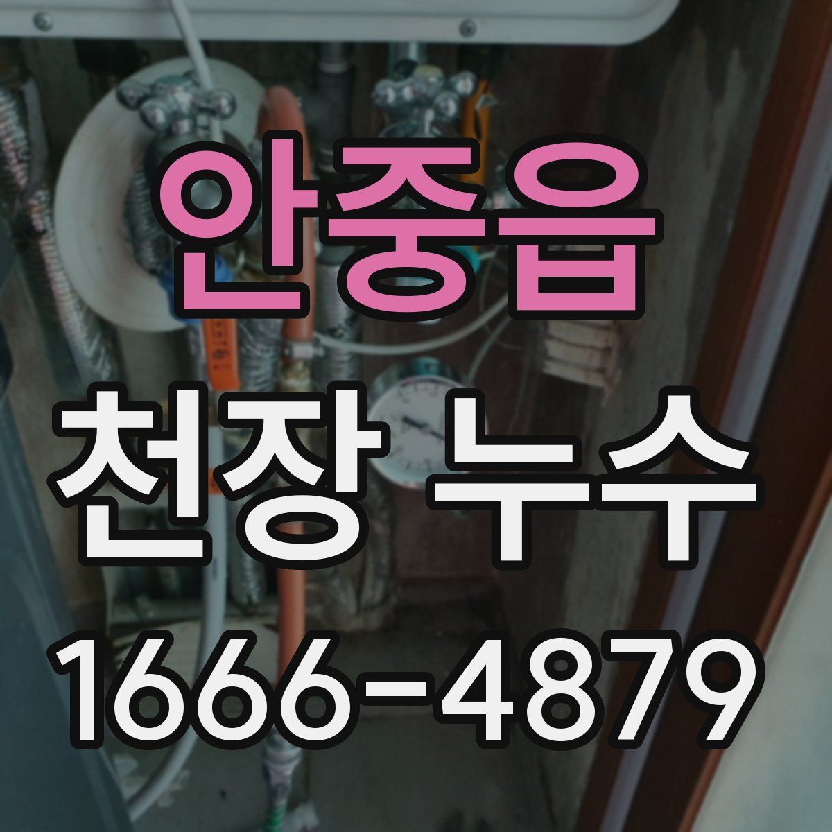 안중읍 천장 누수