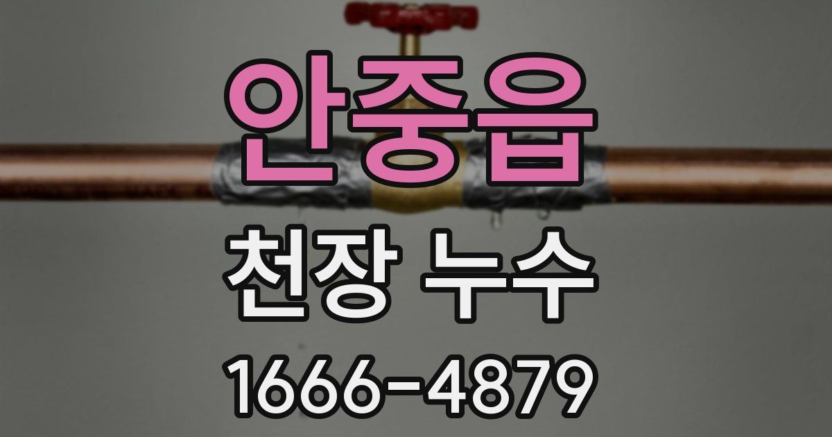 안중읍 천장 누수