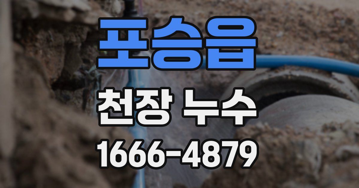 포승읍 천장 누수