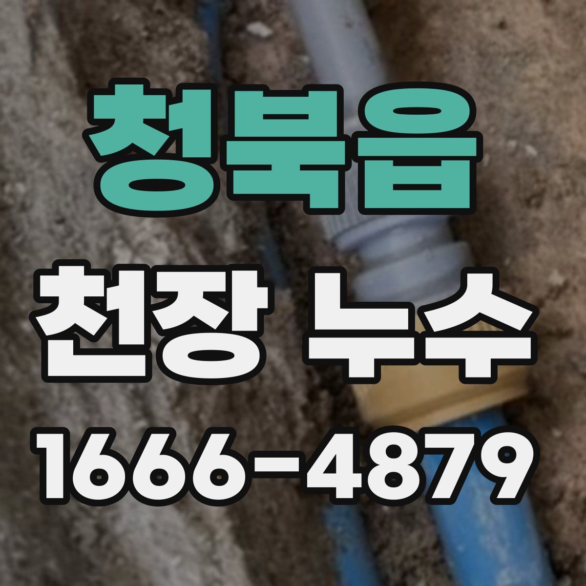 청북읍 천장 누수