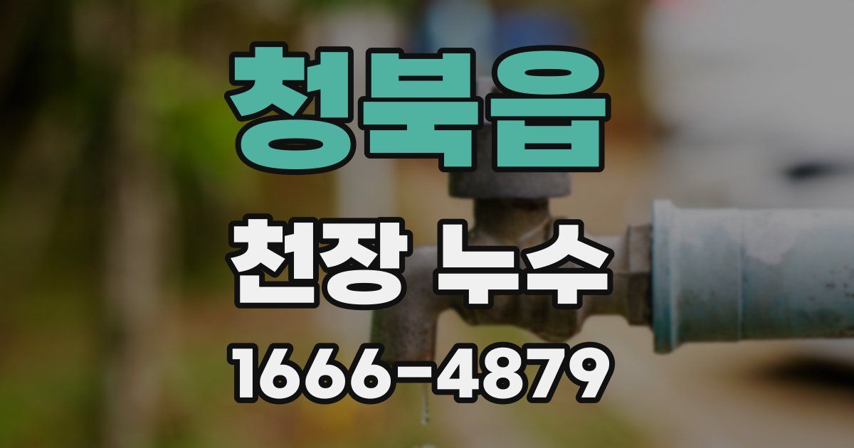 청북읍 천장 누수