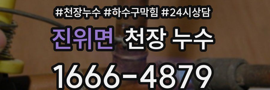 진위면 천장 누수