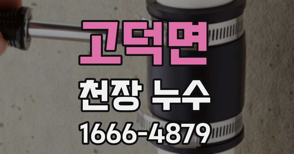 고덕면 천장 누수