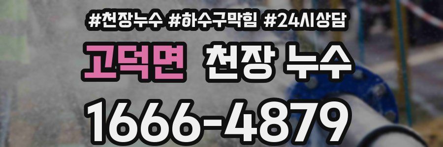 고덕면 천장 누수