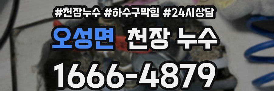 오성면 천장 누수