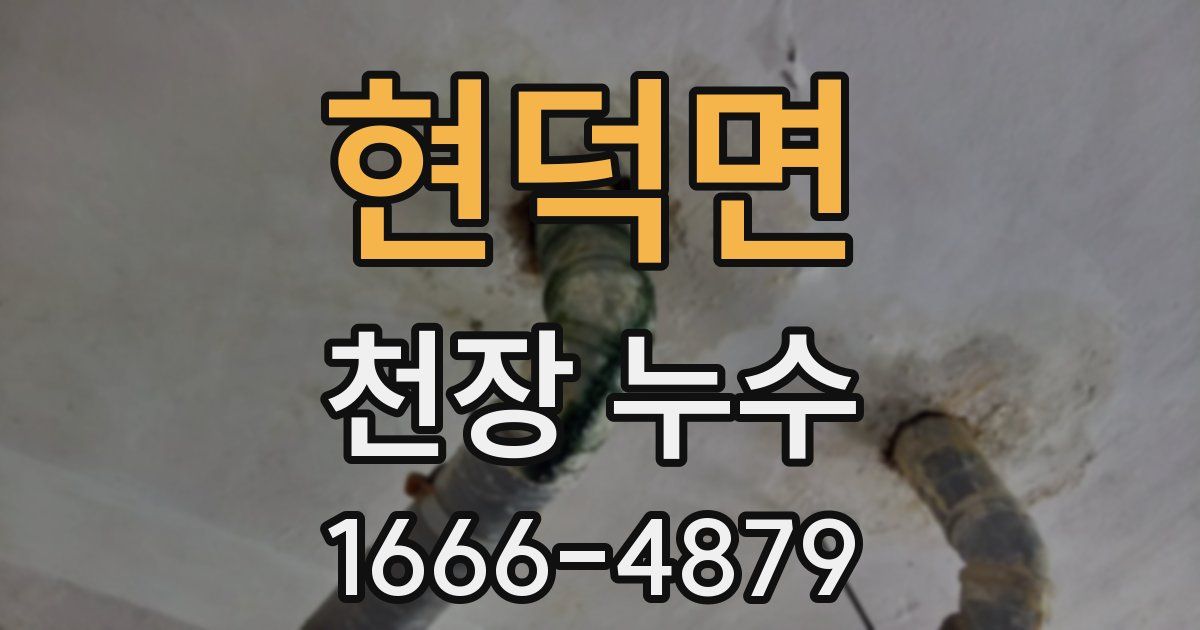 현덕면 천장 누수