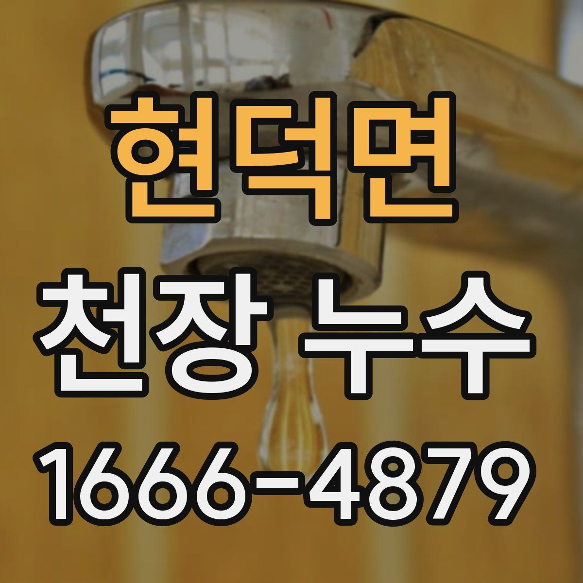 현덕면 천장 누수