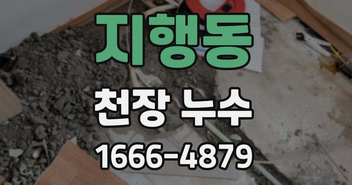 지행동 천장 누수