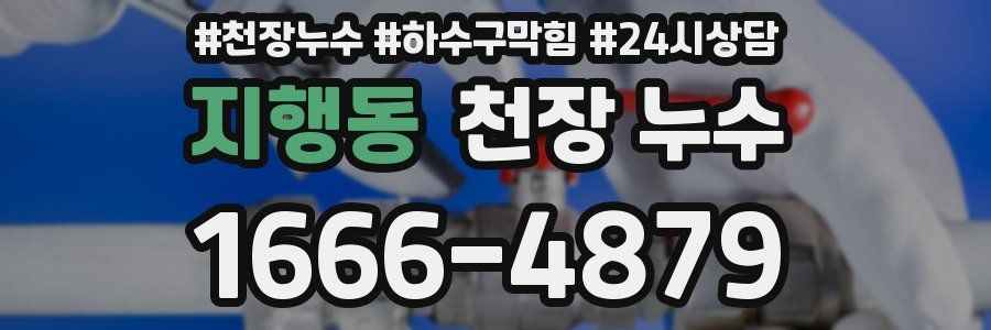 지행동 천장 누수