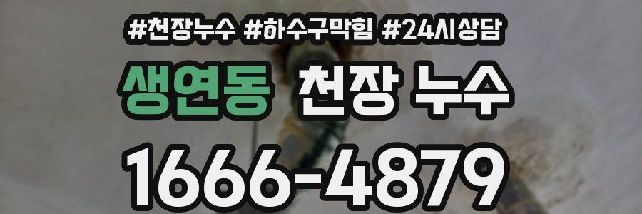 생연동 천장 누수