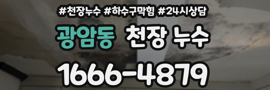 광암동 천장 누수