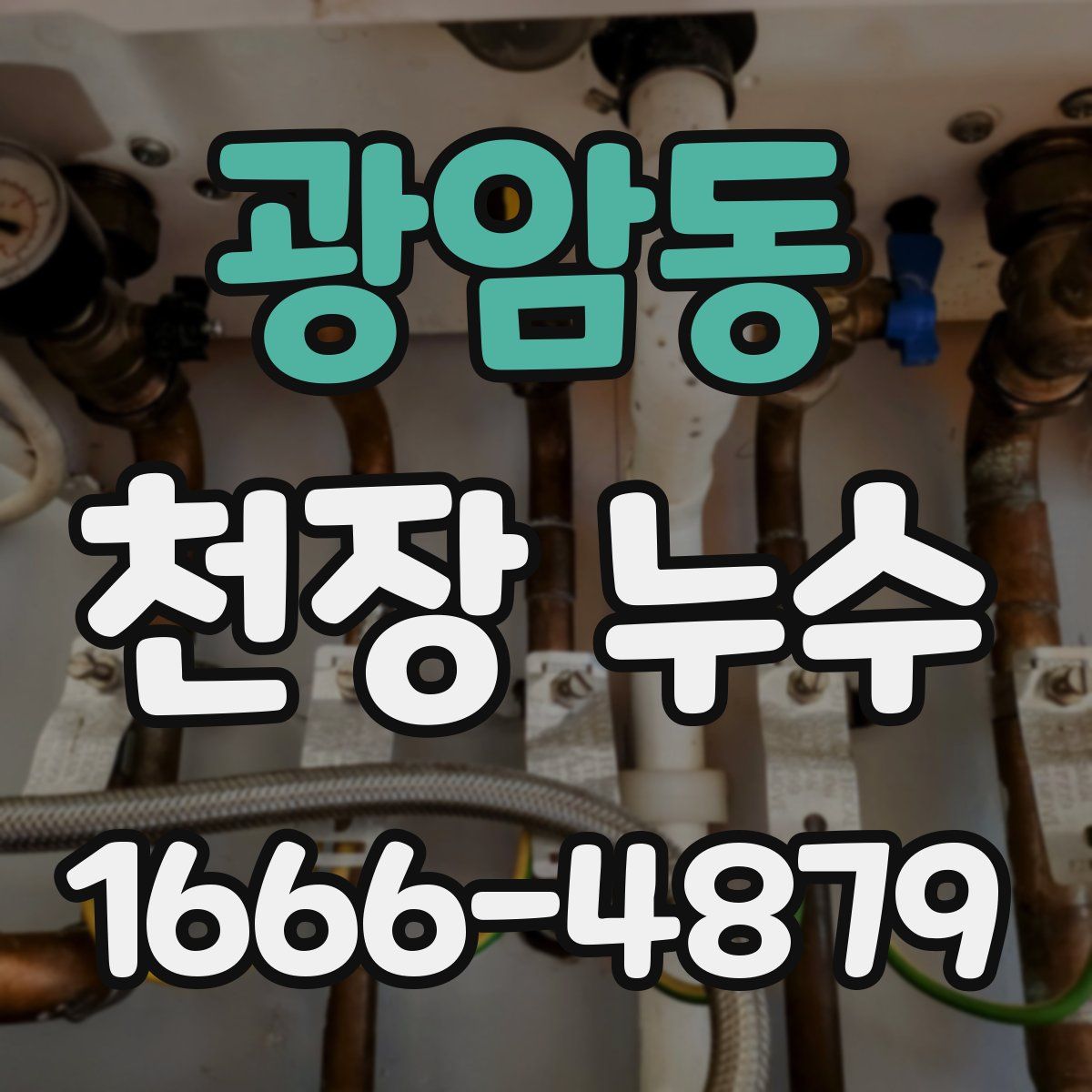 광암동 천장 누수