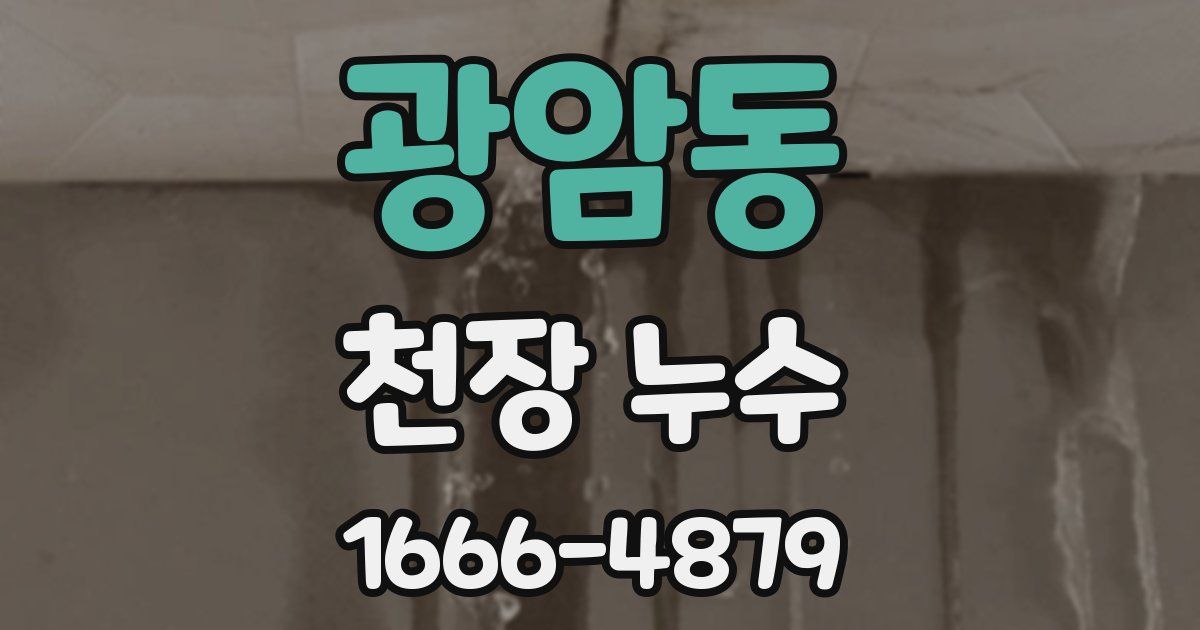 광암동 천장 누수