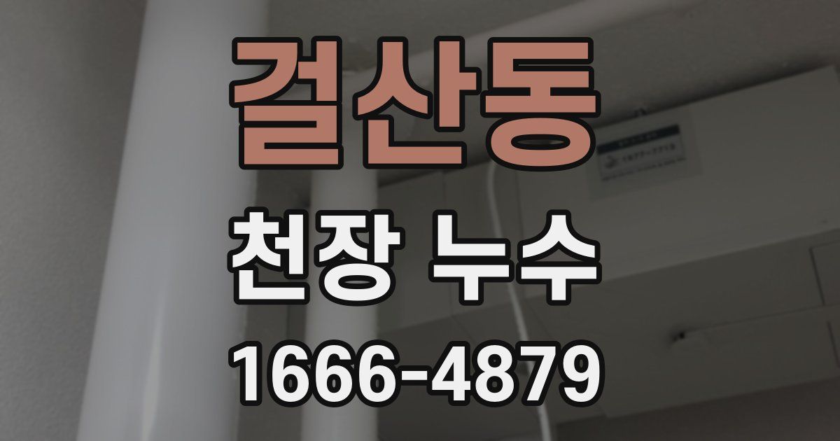 걸산동 천장 누수