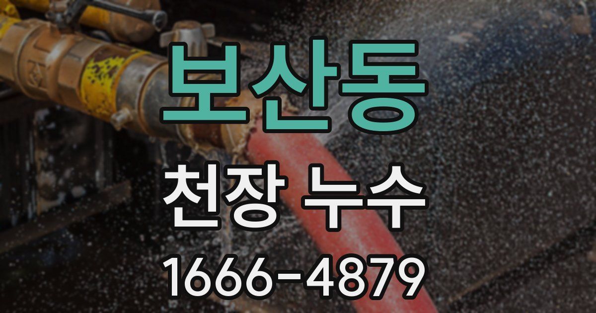 보산동 천장 누수