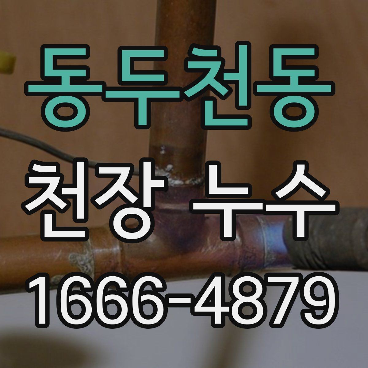 동두천동 천장 누수 천장 내부 습기로 곰팡이가 생길 때