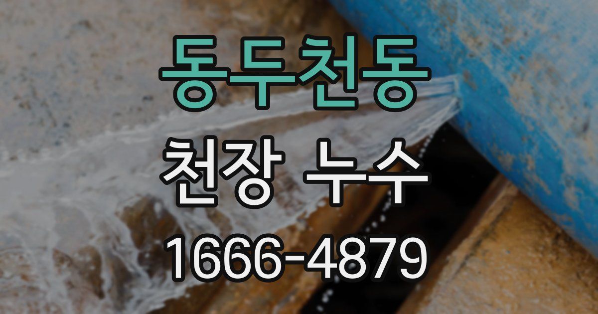 동두천동 천장 누수