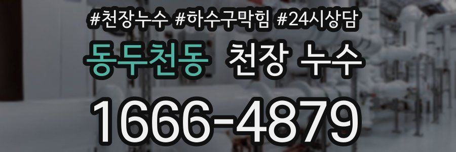 동두천동 천장 누수