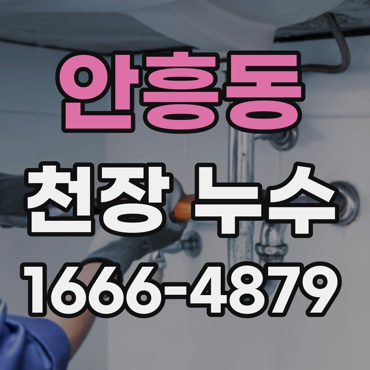 안흥동 천장 누수 천장 곰팡이 냄새가 심해지면 원인 확인
