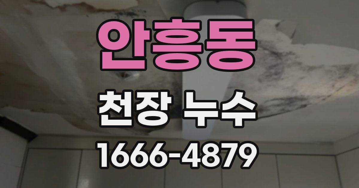 안흥동 천장 누수