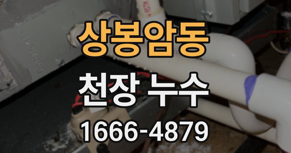 상봉암동 천장 누수