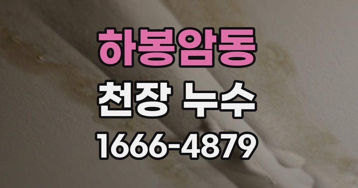 하봉암동 천장 누수