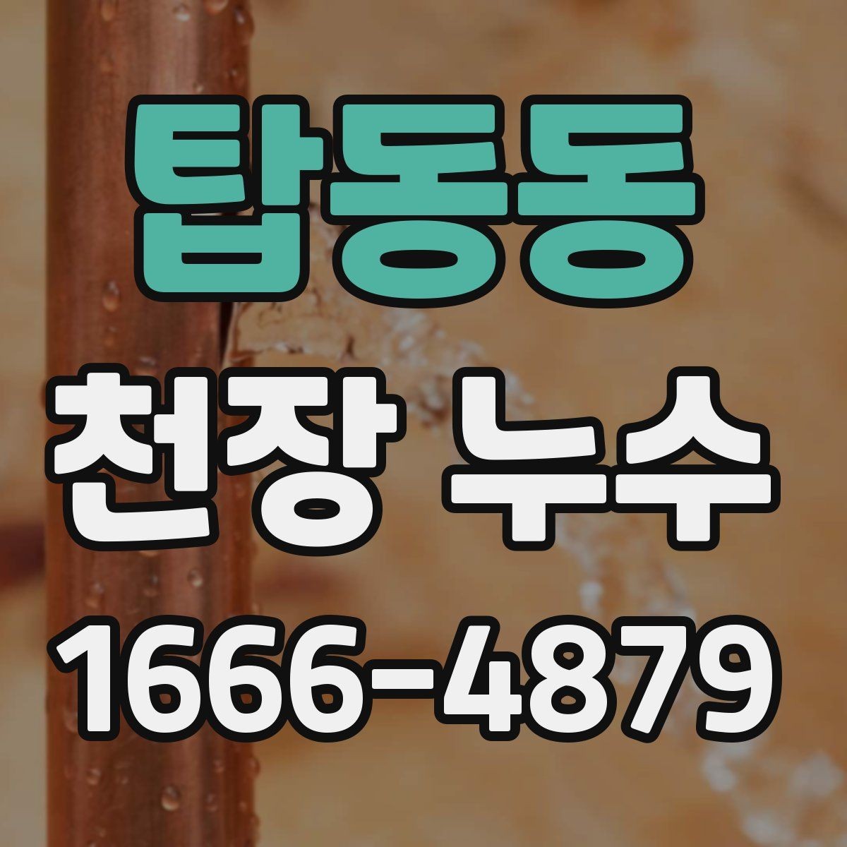 탑동동 천장 누수 한 번에 깔끔히 해결하려면