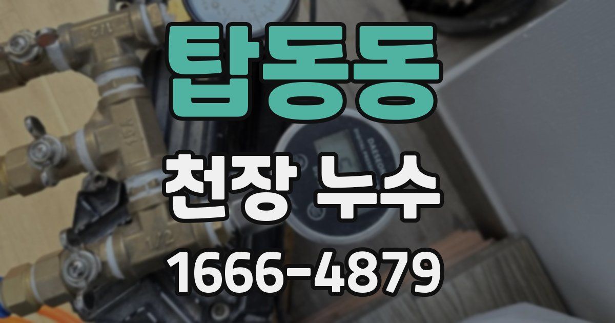 탑동동 천장 누수