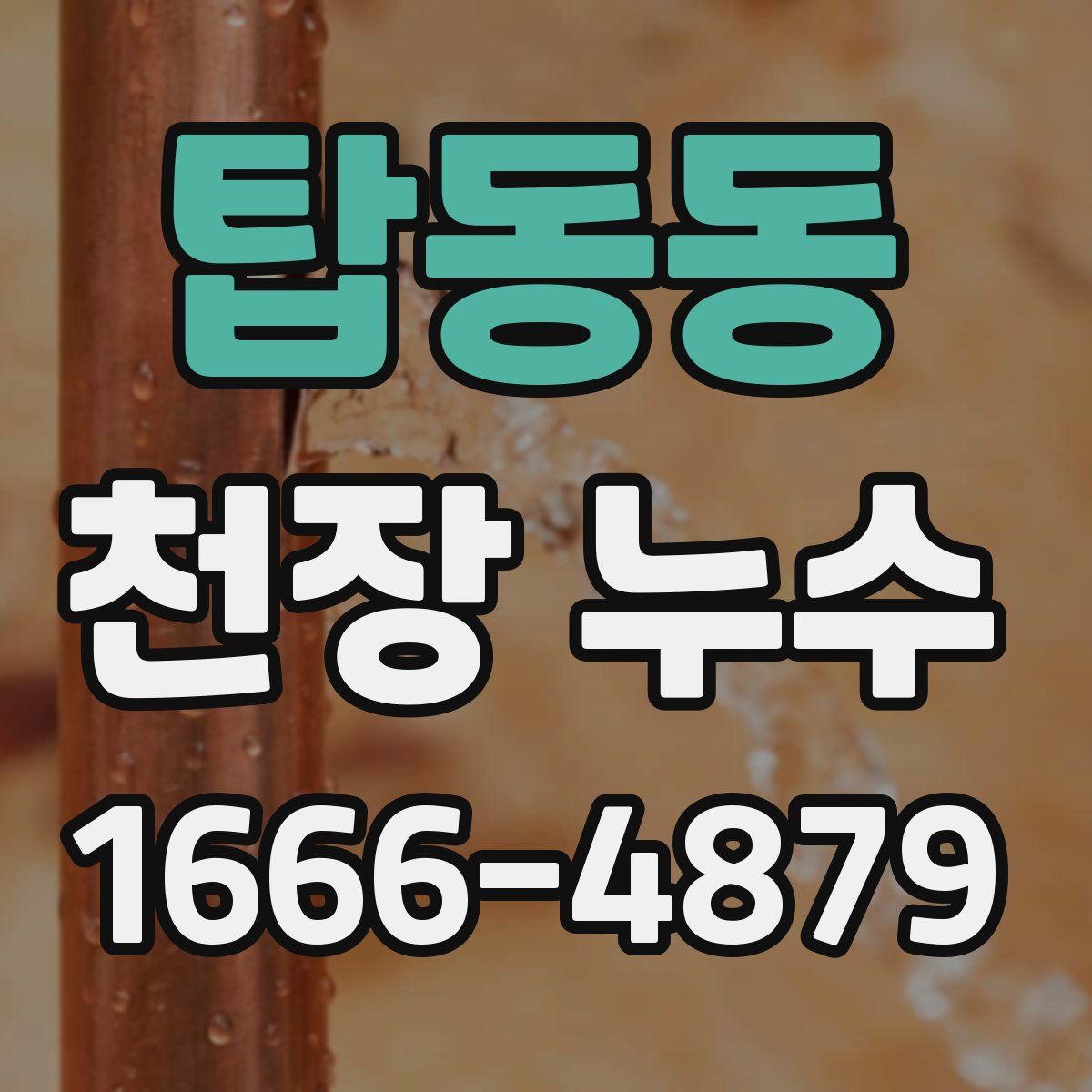 탑동동 천장 누수