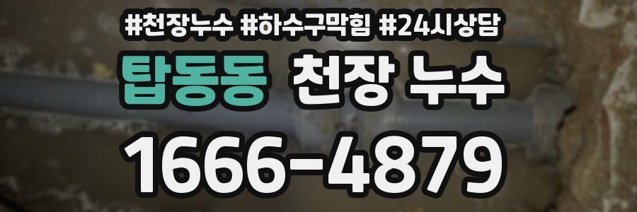 탑동동 천장 누수