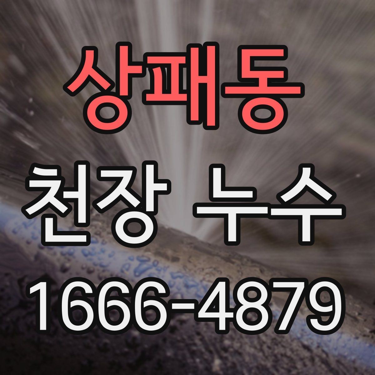 상패동 천장 누수 장마철 천장 물자국이 생기는 집의 특징