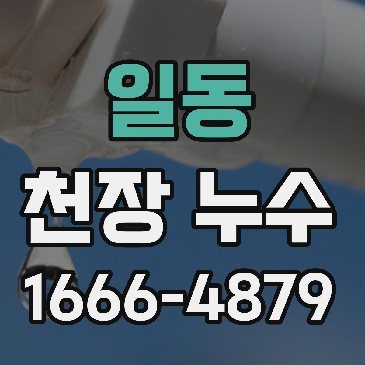 일동 천장 누수 재발을 줄이는 점검 흐름