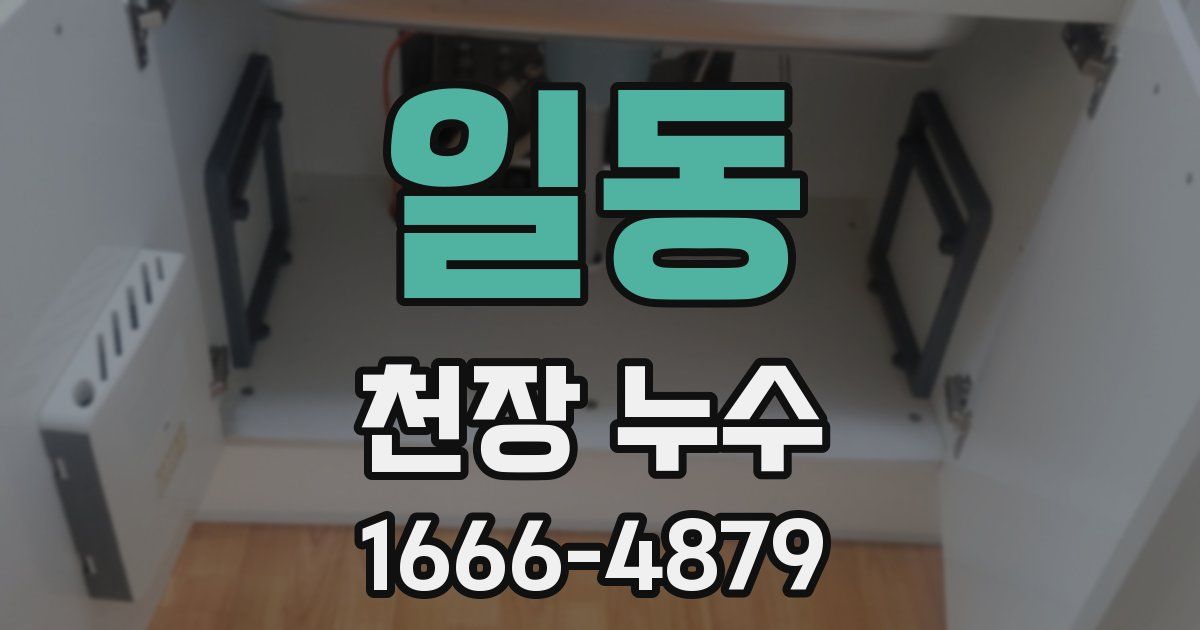 일동 천장 누수