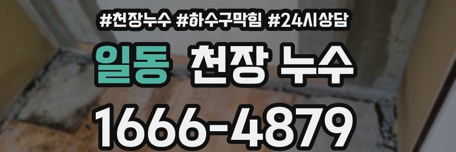 일동 천장 누수