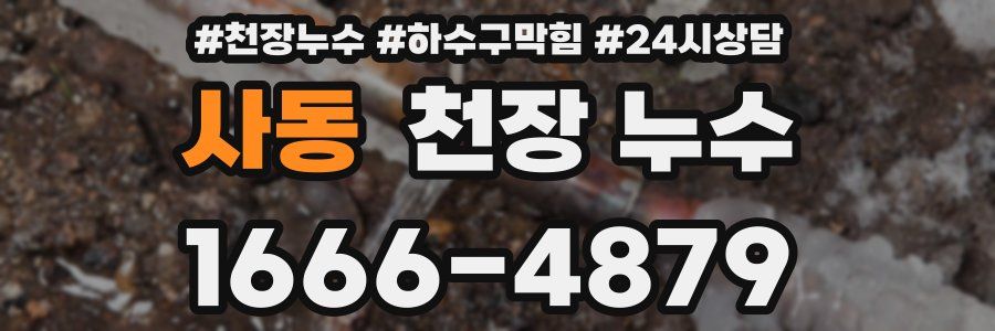 사동 천장 누수