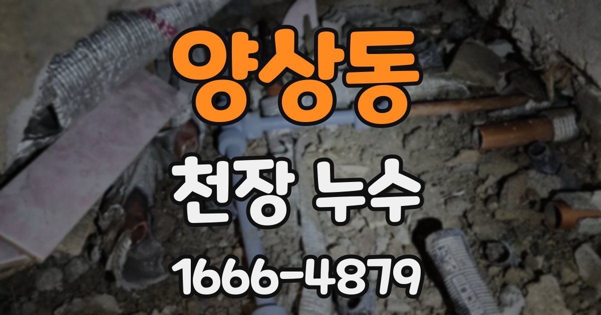 양상동 천장 누수