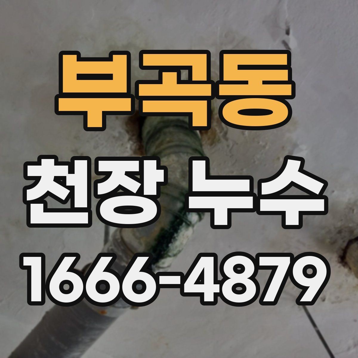 부곡동 천장 누수 천장 색이 부분적으로 변하면 물이 스며든 흔적