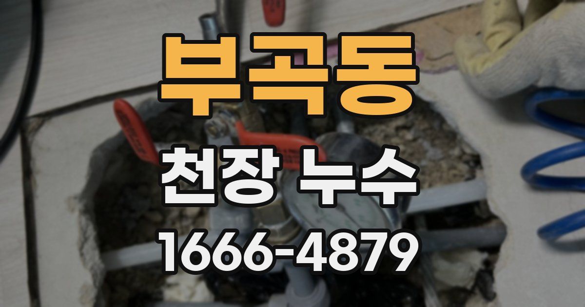 부곡동 천장 누수