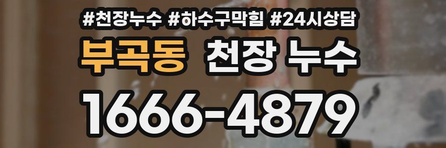 부곡동 천장 누수