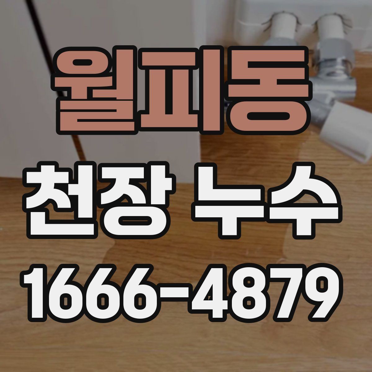 월피동 천장 누수 배수 트랩 문제로 천장 누수처럼 보일 때